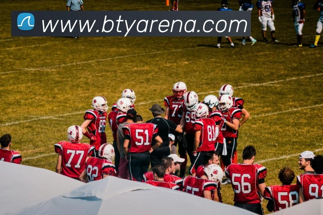 B体育平台生态图